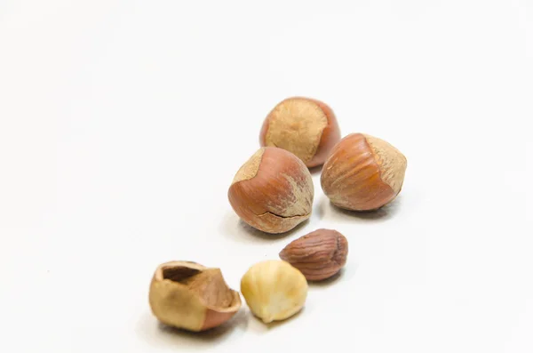 Hazel Nuts — Stock Photo, Image