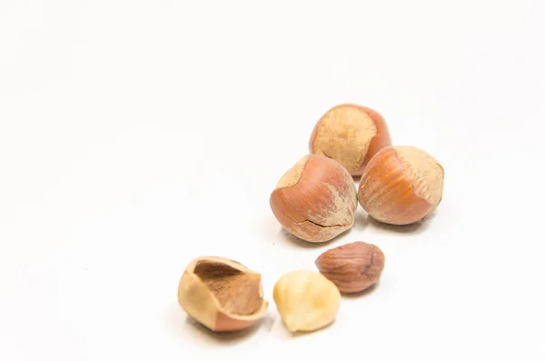 Hazel Nuts — Stock Photo, Image