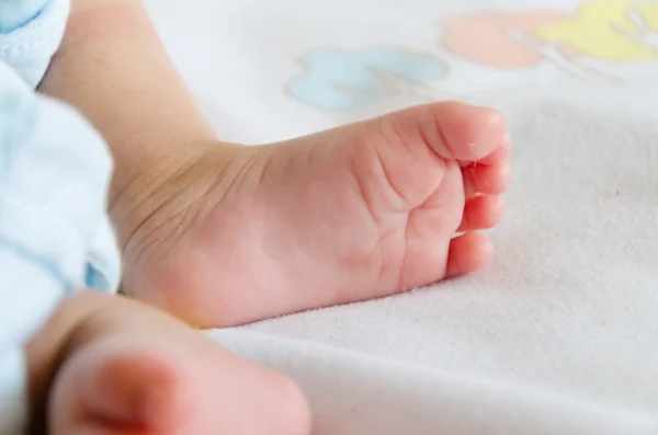 En närbild på lilla baby foot — Stockfoto