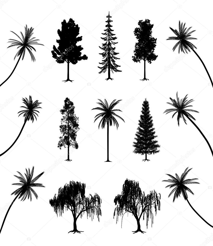 Trees With Roots And Palms Stock Vector Image By C Edvard76 4641