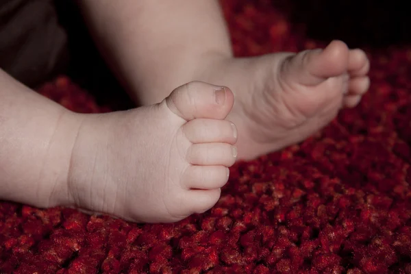 Bebês pés — Fotografia de Stock