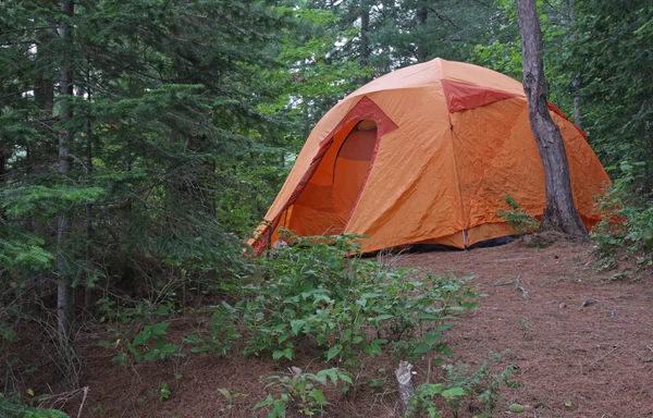 阿尔贡金橙色帐篷 — 图库照片
