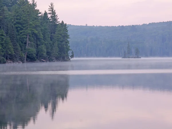 Tom thomson jezera ostrov — Stock fotografie