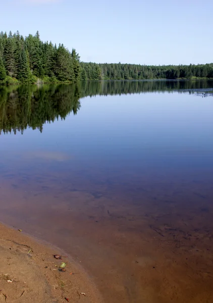 Pog Lake Shore — Stock Photo, Image