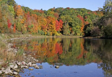 Grand River Fall Reflection clipart