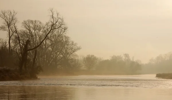 Nebliger großer Flussmorgen — Stockfoto