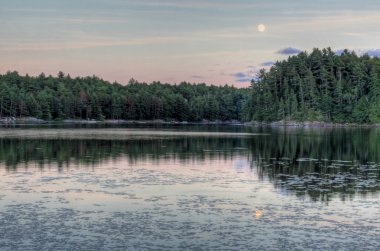 Muskoka ay yükselişi