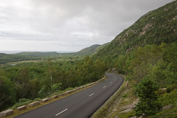 Bewolkte acadia national park weg — Stockfoto