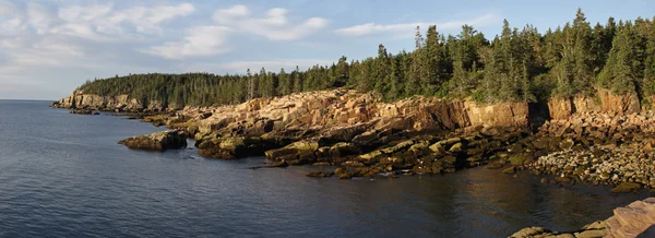 Otter Cliffs Dawn Panorama — Stock Photo, Image