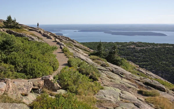 View from Cadillac Mountain — Stock Photo, Image