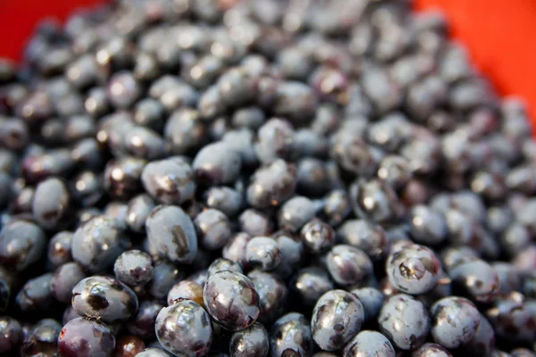 Harvested ripe grapes from vineyard — Stock Photo, Image