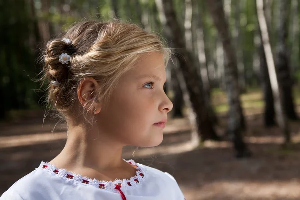 Çocuk kız portre bir huş ağacı ormanda — Stok fotoğraf