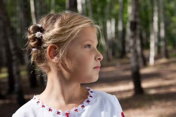 Çocuk kız portre bir huş ağacı ormanda — Stok fotoğraf