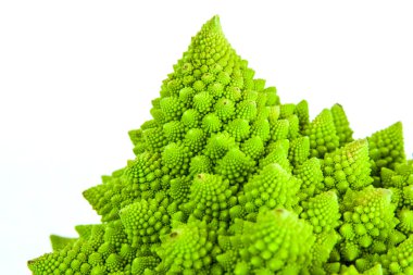 Brassica Oleracea / Romanesco brokoli / Roma karnabahar