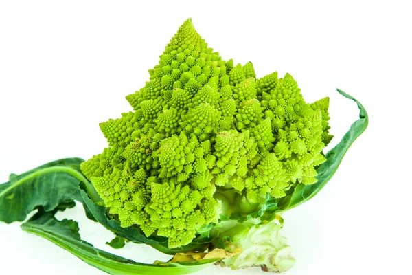 Brassica Oleracea / Romanesco brokuły / Roman kalafior — Zdjęcie stockowe