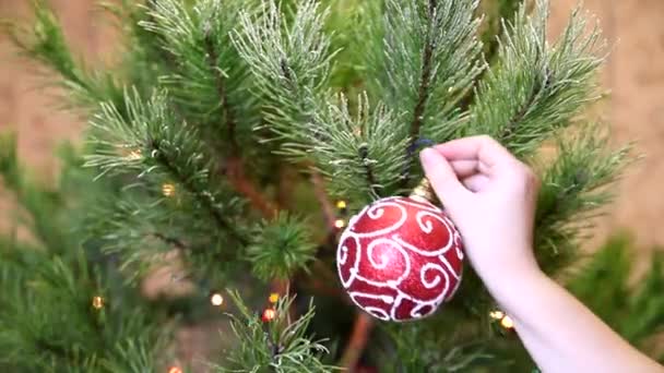 Weibliche Hand schmückt Weihnachtsbaum mit Spielzeug — Stockvideo