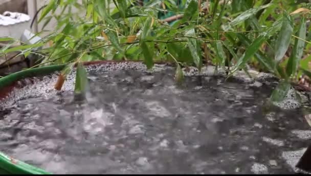 Deszcz woda spada z uphigh do metalu wody może — Wideo stockowe