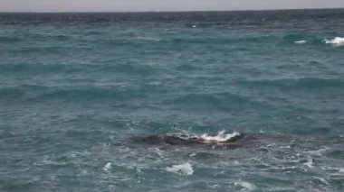 Karadeniz Sahil rüzgarlı gün dalgalar ile görüntülere