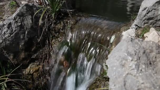 Małe wodospady przez staw w parku na świeżym powietrzu — Wideo stockowe