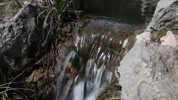 Petites chutes d'eau au bord de l'étang dans le parc extérieur 
