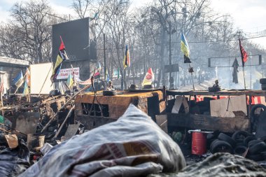 Ukrayna euromaidan hükümet karşıtı protestolar