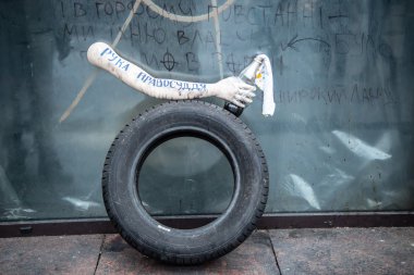 Ukrayna euromaidan hükümet karşıtı protestolar