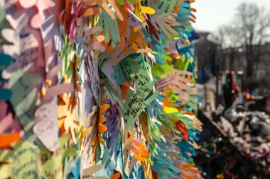 haysiyet devrim - euromaidan kiev, Ukrayna