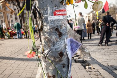 haysiyet devrim - euromaidan kiev, Ukrayna