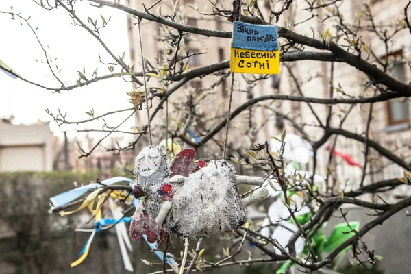 haysiyet devrim - euromaidan kiev, Ukrayna