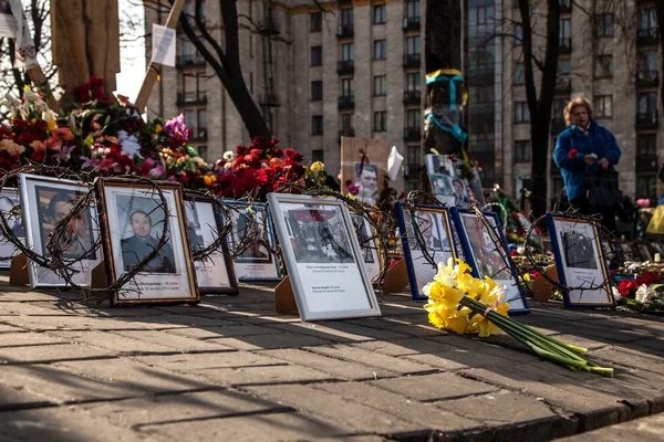 Důstojnost revoluce - euromaidan Kyjev, Ukrajina Royalty Free Stock Fotografie