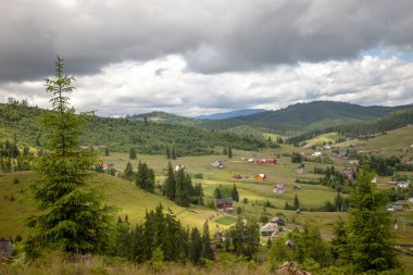 yaz günü Karpat Dağları