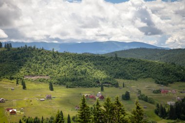 yaz günü Karpat Dağları