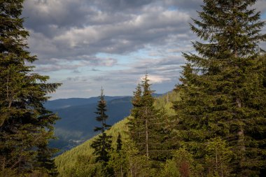 yaz günü Karpat Dağları