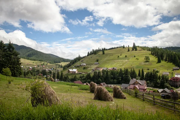 Summer day in Carpathian mountains — Stock Photo, Image