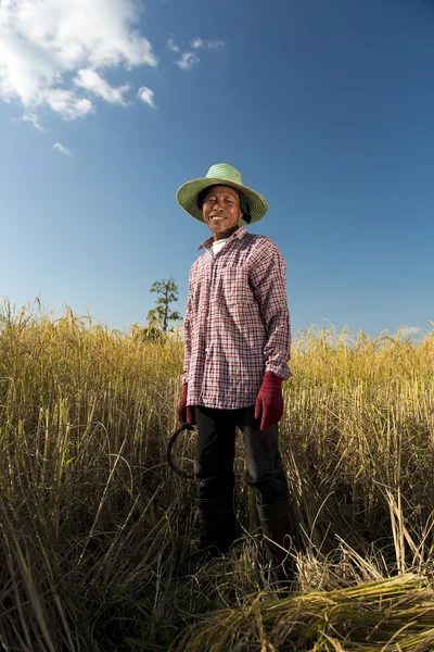 Retrato de um agricultor de arroz — Fotografia de Stock