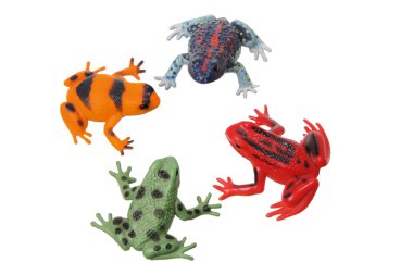 minyatür oyuncak kurbağa