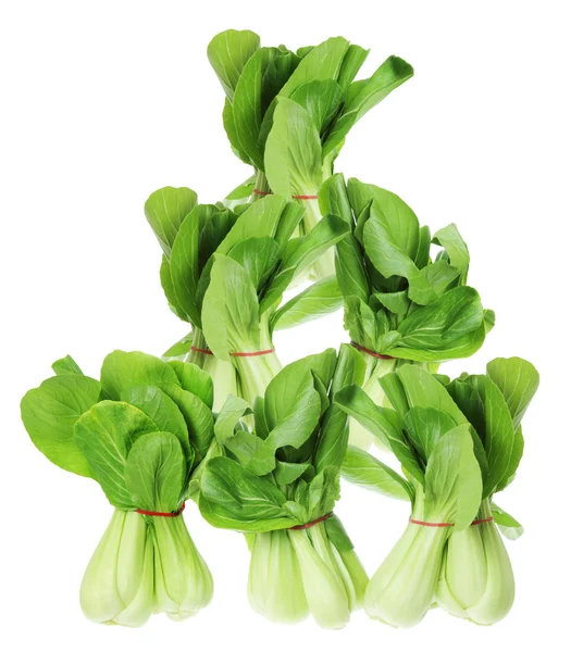 Bok choy — Stockfoto