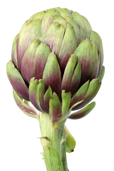 Artichoke — Stock Photo, Image