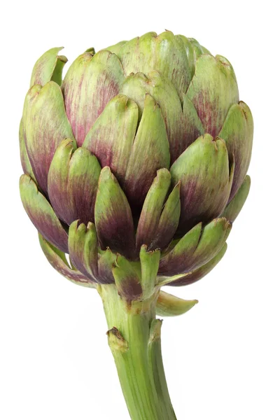 Artichoke — Stock Photo, Image