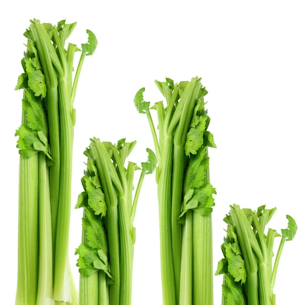 Celery — Stock Photo, Image