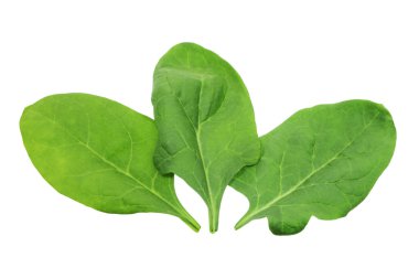 ıspanak yaprakları