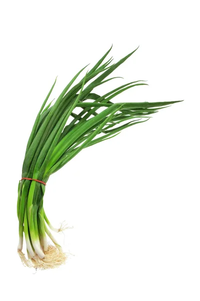 Spring Onions — Stock Photo, Image