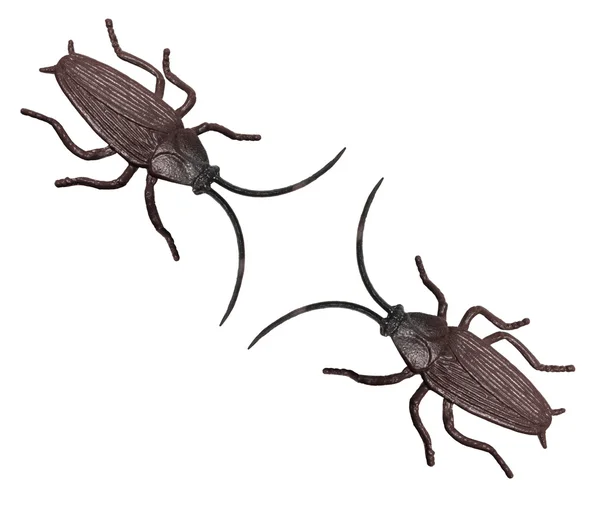 Toy Cockroaches — Stock Photo, Image