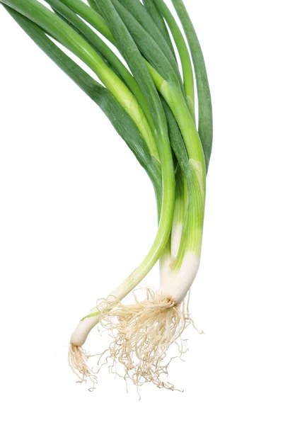 Spring Onions — Stock Photo, Image