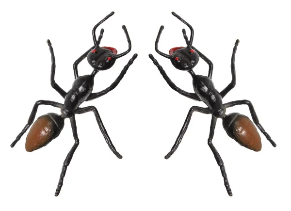 Toy Ants — Stock Photo, Image