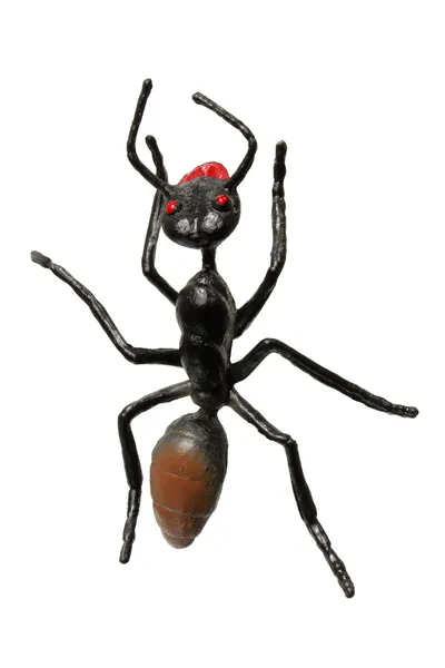 Zabawka mrówka — Zdjęcie stockowe