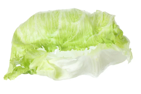 Eisbergsalat — Stockfoto