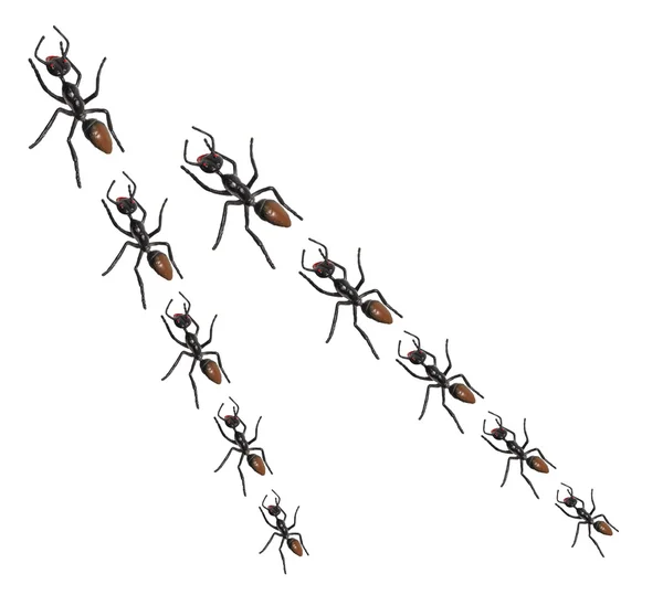 玩具蚂蚁 免版税图库图片