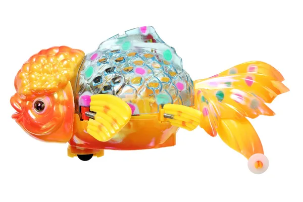 Lanterna chinesa Goldfish — Fotografia de Stock