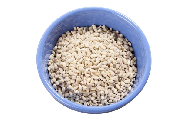 Pearl Barley in Bowl — Stock Photo, Image